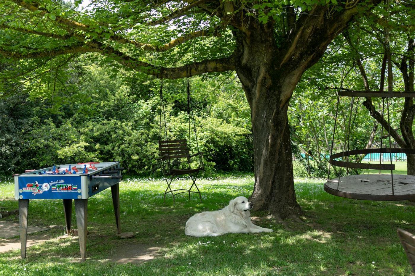 Agriturismo Poggio Salvi 索维奇勒 外观 照片
