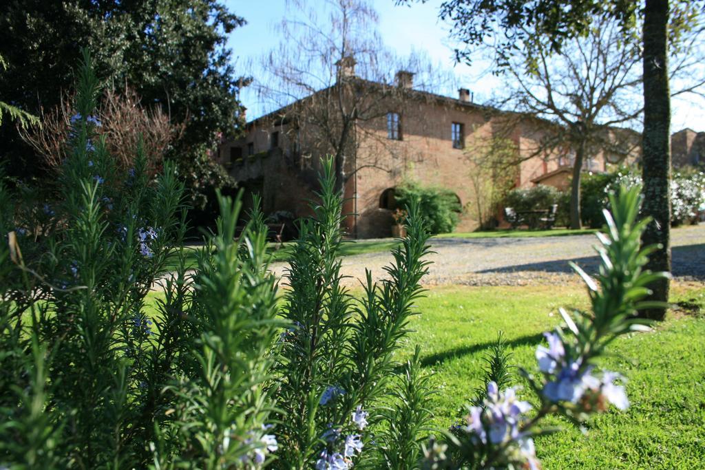 Agriturismo Poggio Salvi 索维奇勒 外观 照片