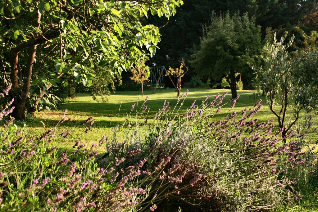 Agriturismo Poggio Salvi 索维奇勒 外观 照片