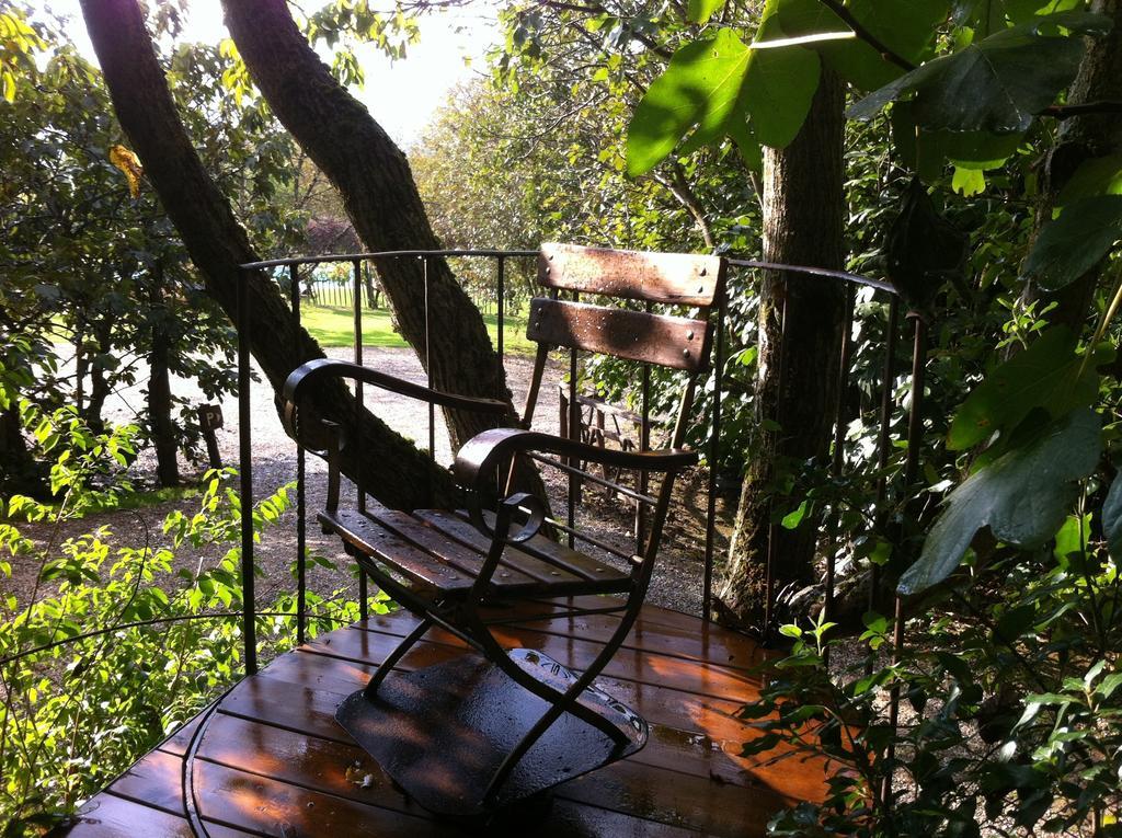 Agriturismo Poggio Salvi 索维奇勒 外观 照片